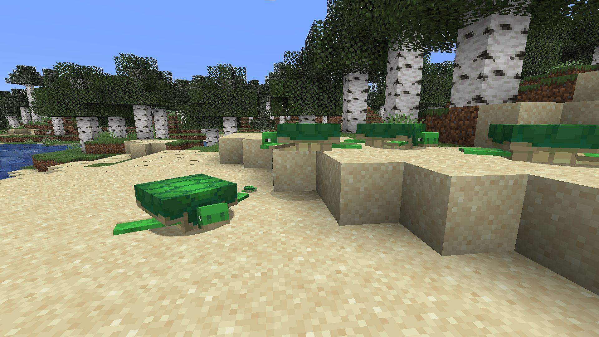 Use the Minecraft turtle egg to hatch turtles (Image via Sportskeeda Gaming || Mojang Studios)
